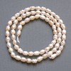 Perlas de río pequeñas en hilo, diámetro 3–4,5 mm, longitud 36 cm aprox.